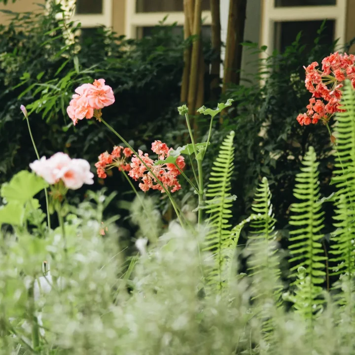 RV gardens 1